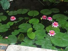 -RoMan罗马健身工作室(莘庄店)