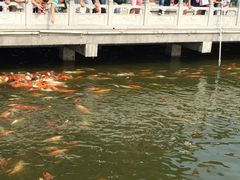 -南戴河国际娱乐中心