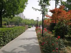 -唐城墙遗址公园