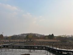 -昆山城市生态森林公园