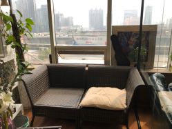 -轩舞汇·爵士舞街舞训练营