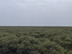 -北海金海湾红树林生态旅游区