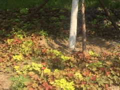 -回龙观体育文化公园