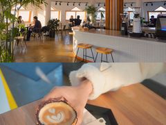 -ChanDu躔度咖啡(灯塔店)