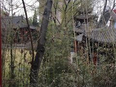 -碑林公园