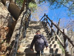 -王顺山国家森林公园