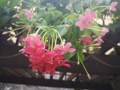 -圣佩德罗堡