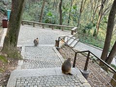 -苏州上方山国家森林公园