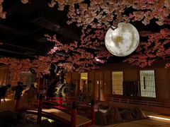 -蓝鲸湾汤泉(包河店)