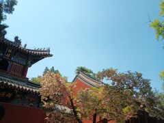 -洛阳白马寺
