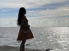 -宝安西湾红树林湿地公园