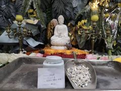 -彩虹桥宠物火化殡葬善终服务(金乐大厦店)