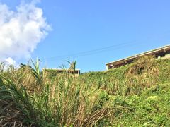 -东极岛景区-青浜岛