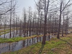 -广富林郊野公园