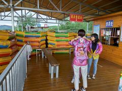 -铜川市金锁关石林