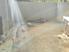 -深圳野生动物园