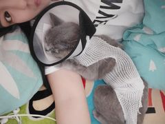 -瑞派福兴宠物医院犬猫全科·骨科·中西医结合(河东店)