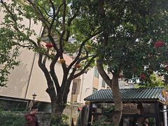 -周大娘牛乳(旧寨古村总店)