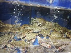 -小铜锣湾海鲜家常菜馆(河西店)