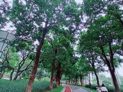 -文华公园(禅城区)