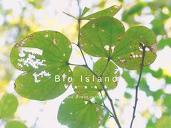 -广州国际生物岛