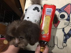 -爱宠屋pet shop·宠物洗澡·宠物美容