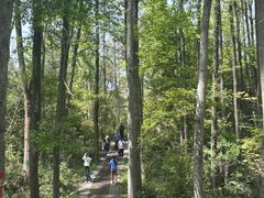 -青龙山国家森林公园