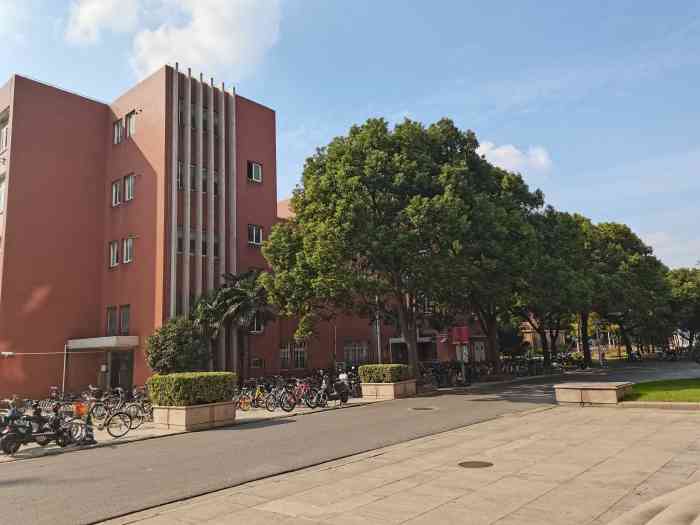 复旦大学(本部邯郸路校区)-"毕业一年多了,现在都没有什么时间回学校