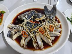 -煲来饱去冷水鱼