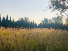 -汉长安城未央宫国家考古遗址公园