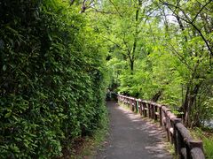 -井之头恩赐公园
