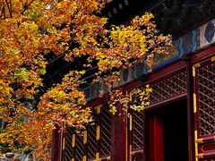 -香山公园
