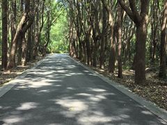 -同里国家湿地公园