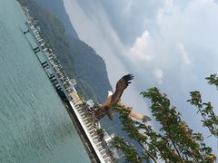 -巨鹰广场