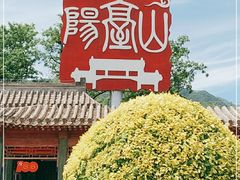 -阳台山自然风景区