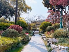 -杭州西子湖四季酒店-WL BISTRO西湖餐厅(灵隐路店)