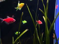 -欢乐海岸海洋奇梦馆