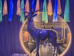 -额尔敦传统涮(公园西路店)