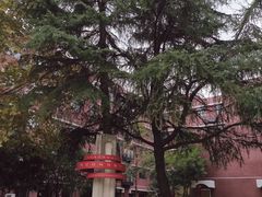 -浙江省杭州高级中学(贡院校区)