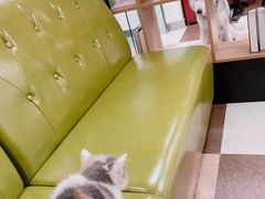 -奈斯宠物医院·核磁CT·异宠专科·内镜(中南店)