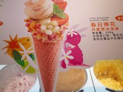 -哈根达斯(石家庄北国店)