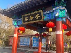 -莲花池公园