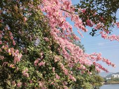 -中国移动南方基地