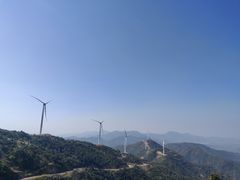 -盐洲岛
