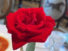 -波特曼西餐厅(南岗店)