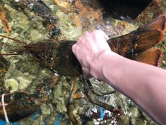 -盒马鲜生(皇庭广场店)