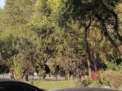 -沈阳于洪碧桂园凤凰酒店