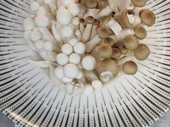 -马家斑.鲜鱼火锅(松湖万科店)
