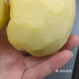 不用烤箱也能自制苹果派啦！！