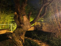 -抚仙湖万达文华酒店